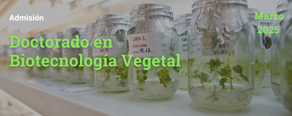 Doctorado en Biotecnología Vegetal