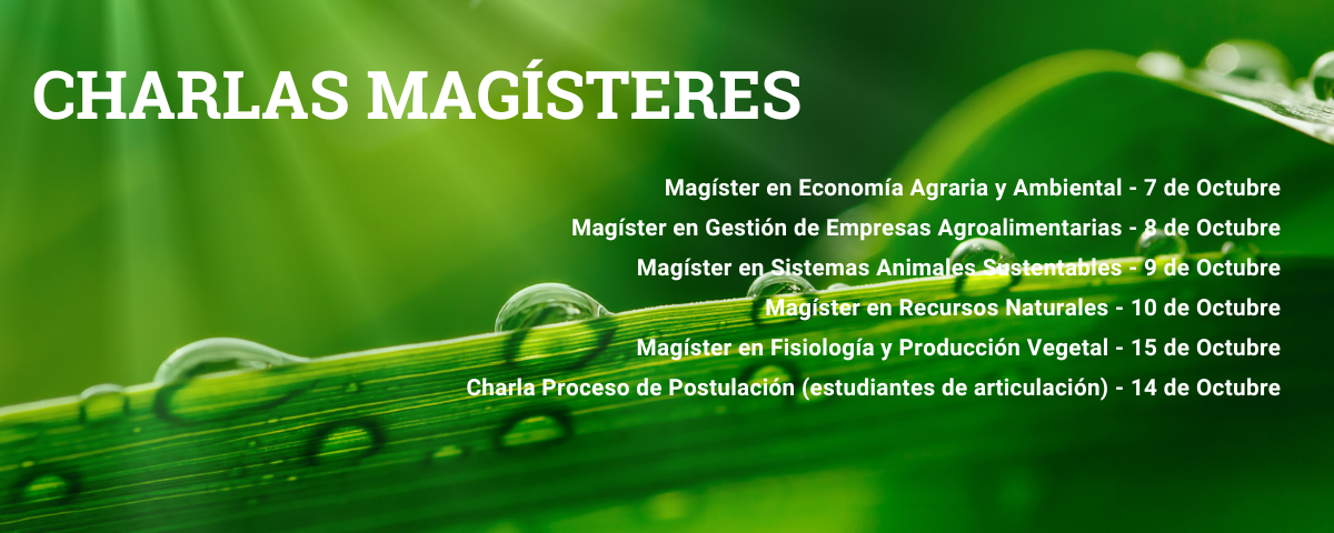 Charlas Programas de Magíster