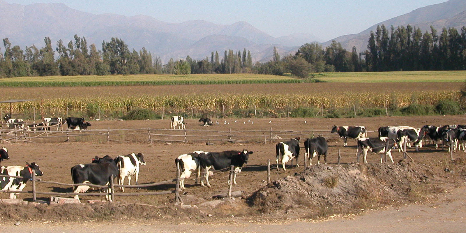 Salida a Pirque16Mar267C70