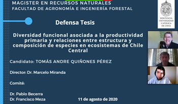 not tesis Tomas Quinones